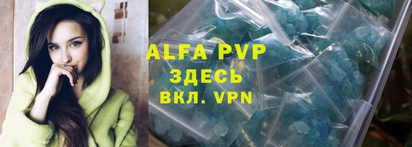 a pvp Бородино