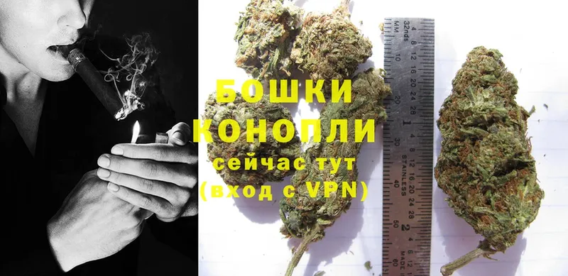 MEGA зеркало  Вятские Поляны  Канабис OG Kush 